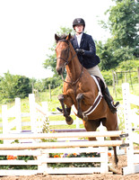 FALLOWFIELD STABLES SHOW